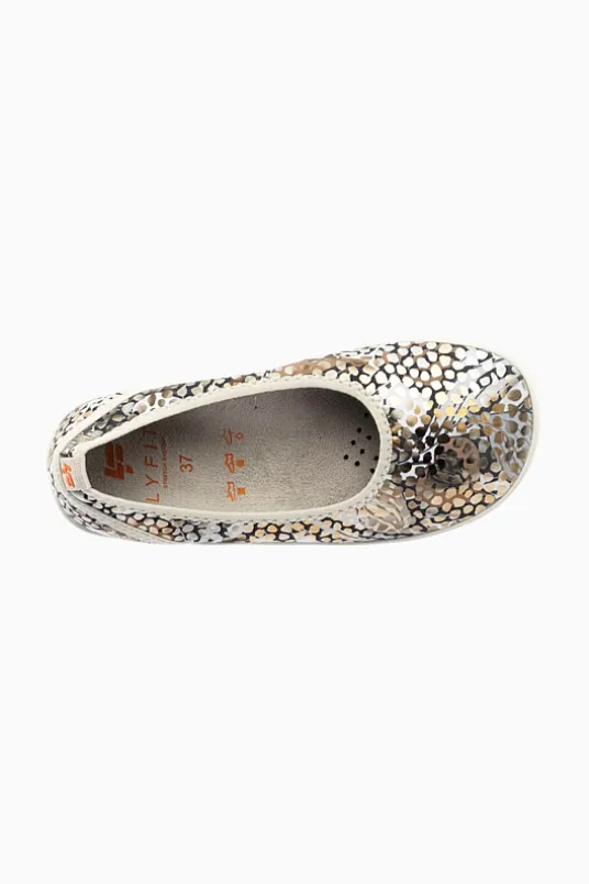 Aster