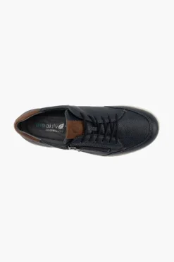 Baldo 907002