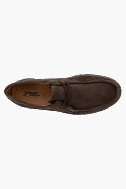 Ben 801951