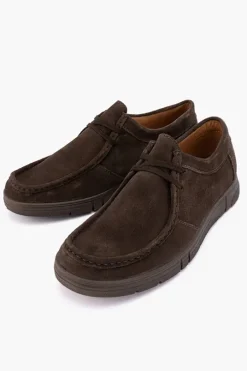 Ben 801951