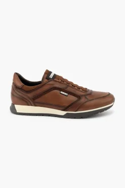Cambil M5N-6247C1