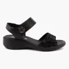 Charlotte 156900