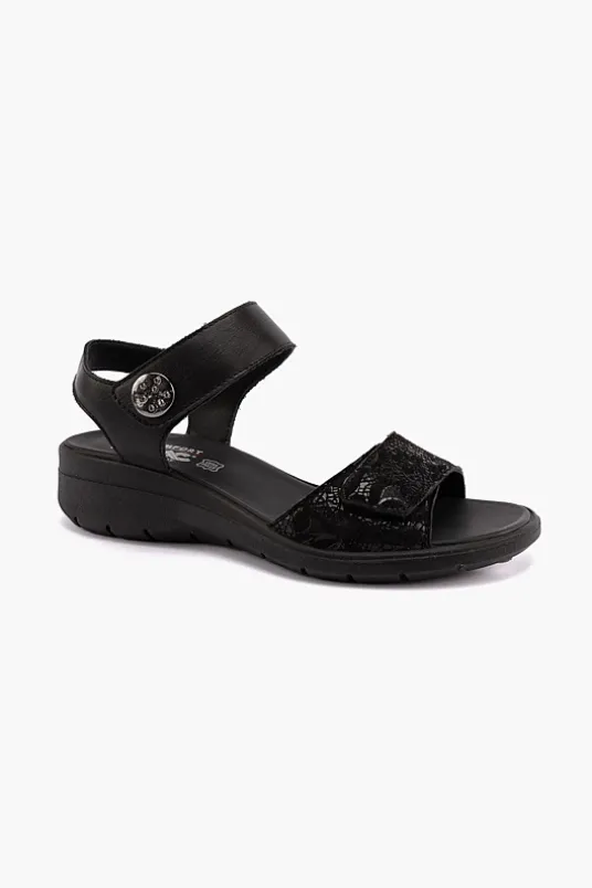 Charlotte 156900