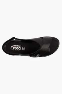 Charlotte 156860