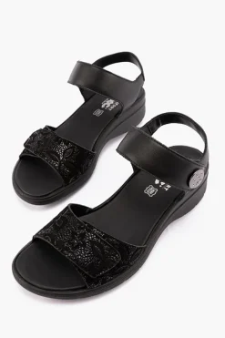 Charlotte 156900
