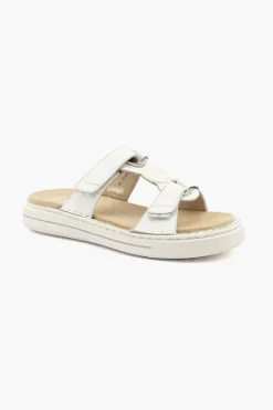 Courtyard Sport 27010