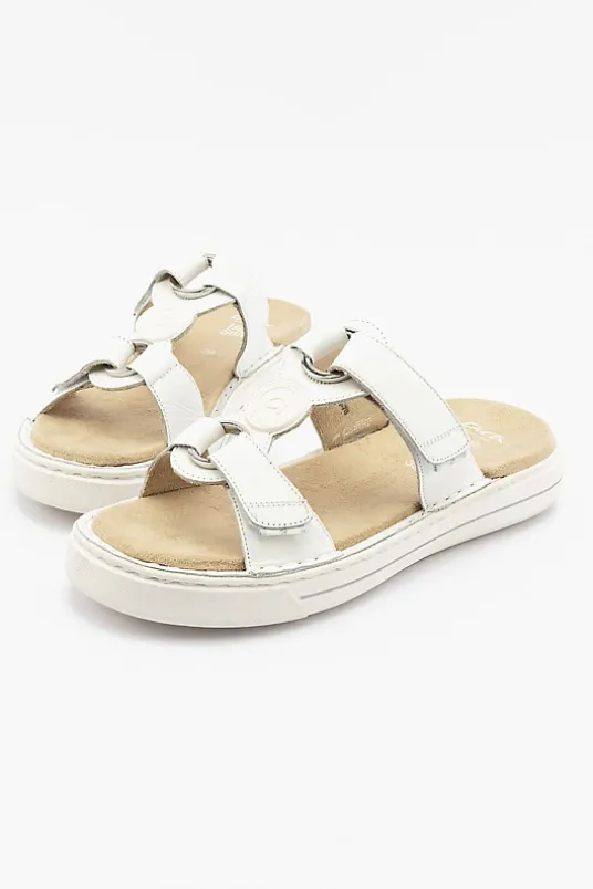 Courtyard Sport 27010
