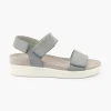 Daisy 558360