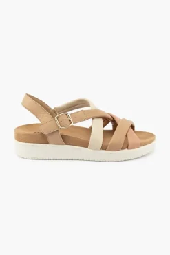 Daisy 558380