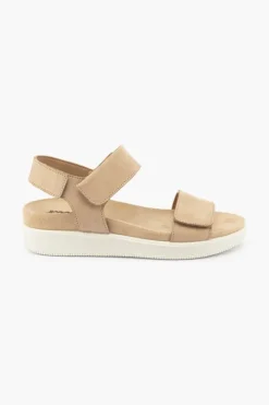 Daisy 558360