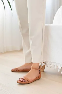 Dawn