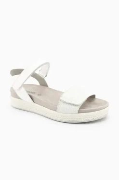 Delizia 57470