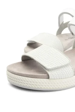 Delizia 57470