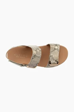 Elegance Print