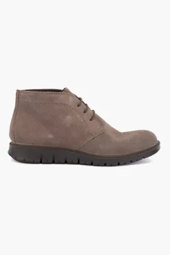 Gionata 800571