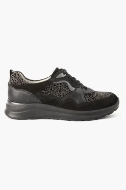 H Rosa 760002