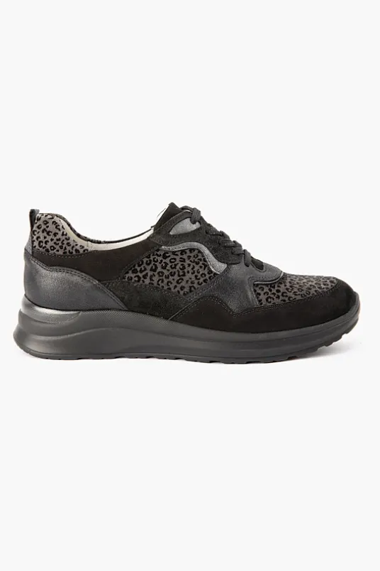H Rosa 760002