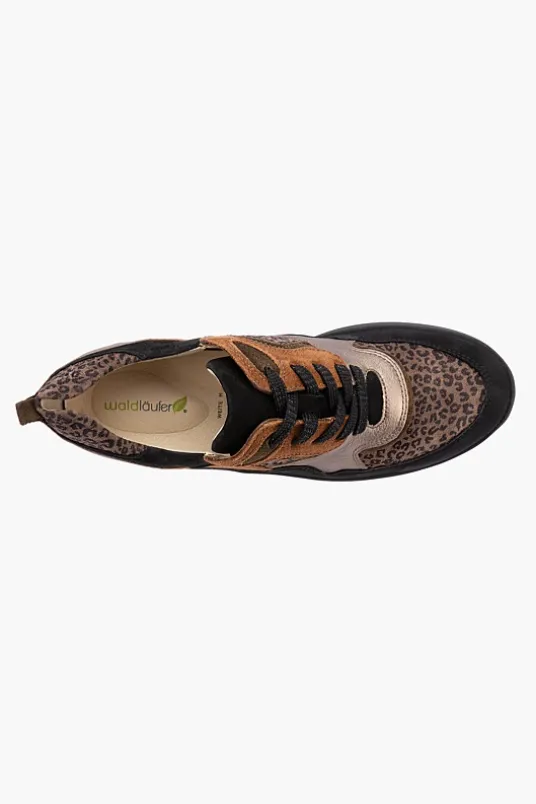 H Rosa 760002