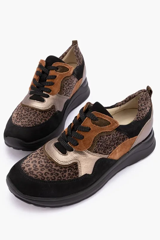 H Rosa 760002