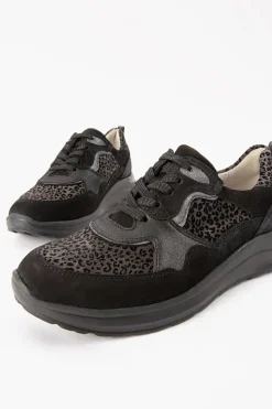 H Rosa 760002