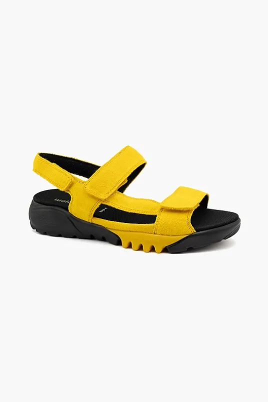 Kalmit 745003