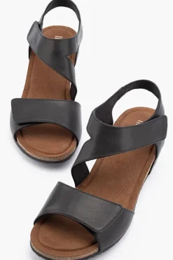 Kyra Plain