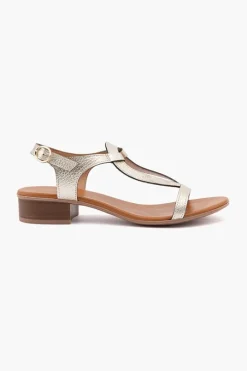 Lola HV211305
