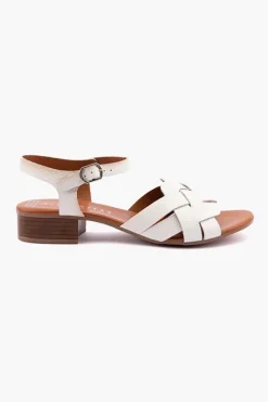 Lola HV221860