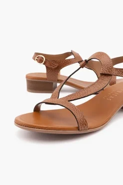 Lola HV211305