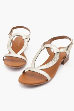 Lola HV211305
