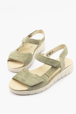 Lotta 712001