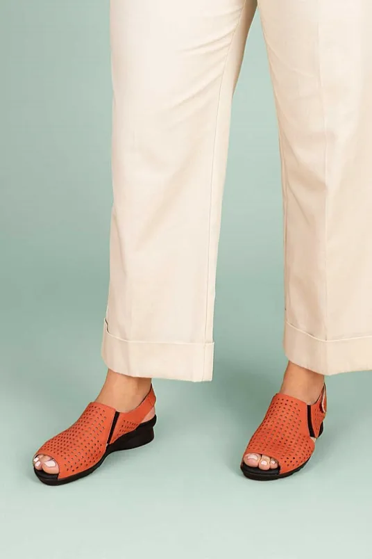 Polka