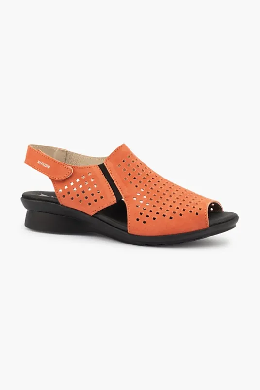 Polka