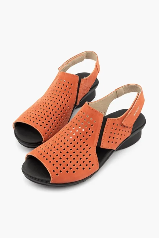 Polka