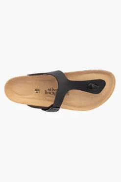 Rosas Mens Plain