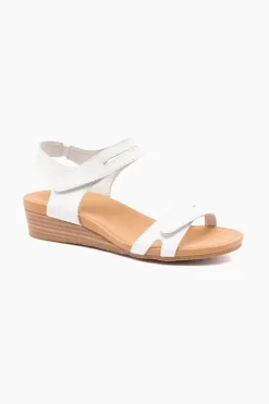Utah Plain