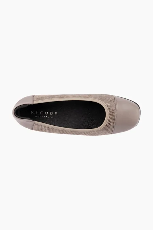 Walnut Stretch XW