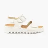 Willow 955004