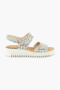 Willow 955001