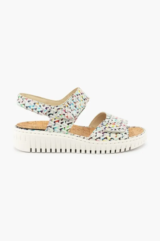 Willow 955001