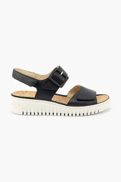 Willow 955004
