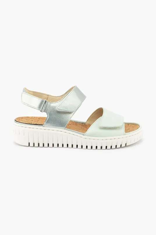 Willow 955001
