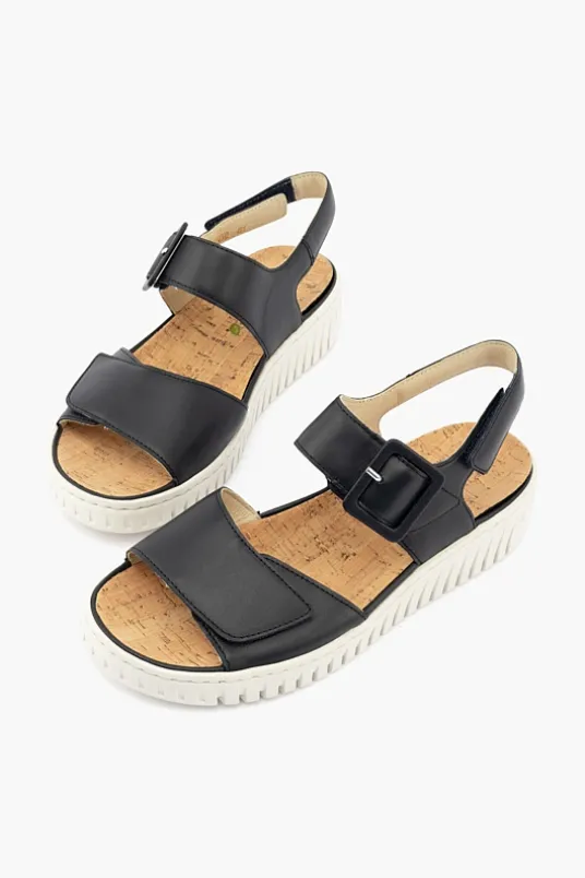 Willow 955004