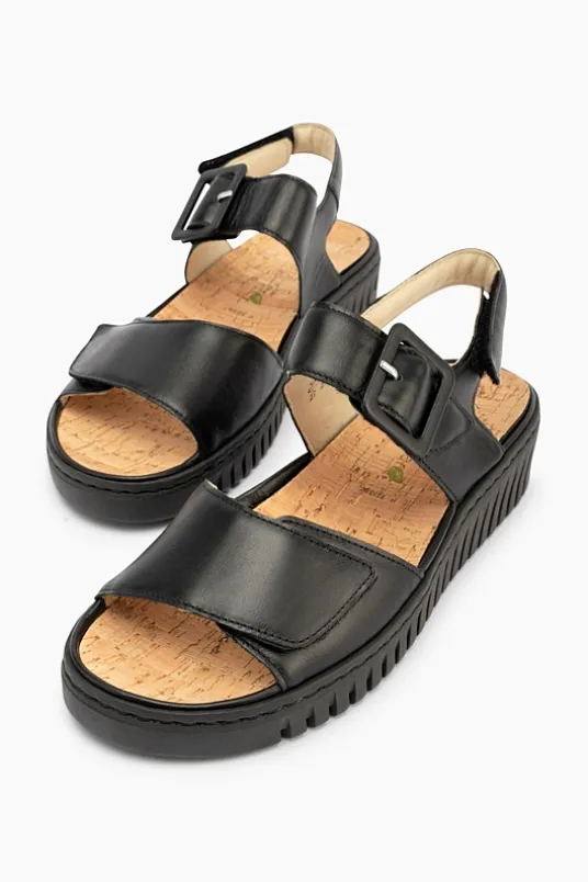 Willow 955004