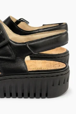 Willow 955004
