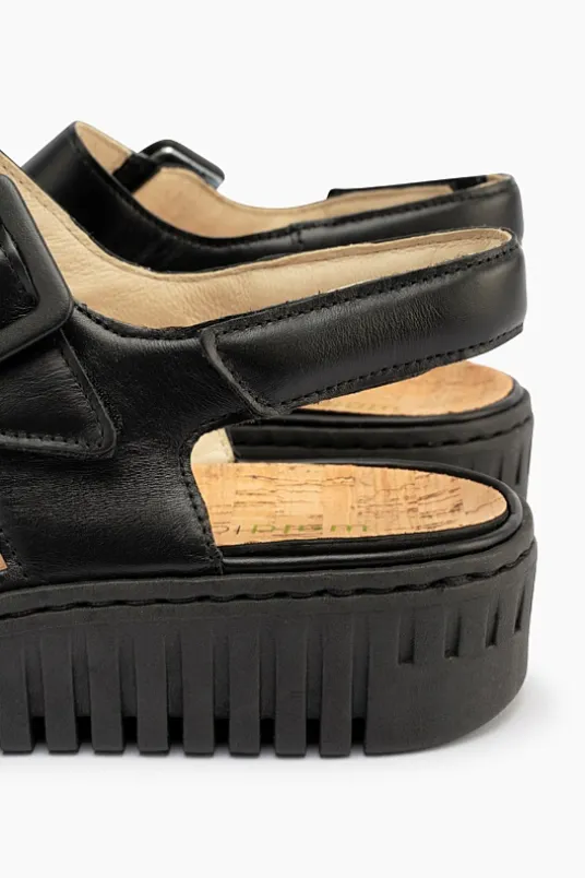 Willow 955004