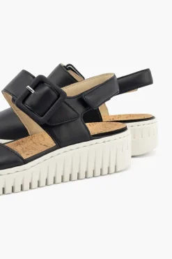 Willow 955004