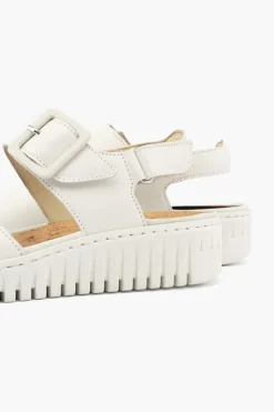 Willow 955004