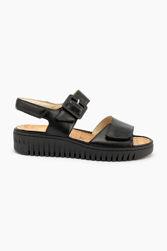 Willow 955004
