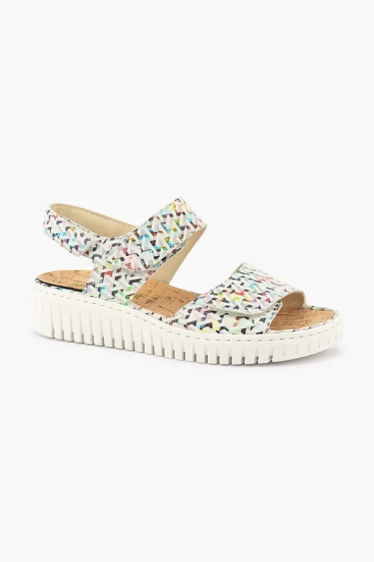 Willow 955001